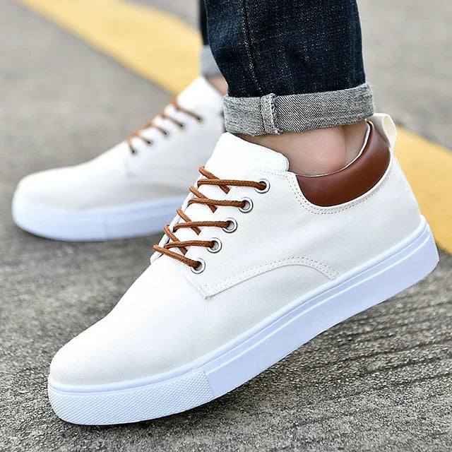 Men Shoes Canvas Sneakers Flats Lace up Leisure Loafers Rubber Sole Non Slip Sneakers